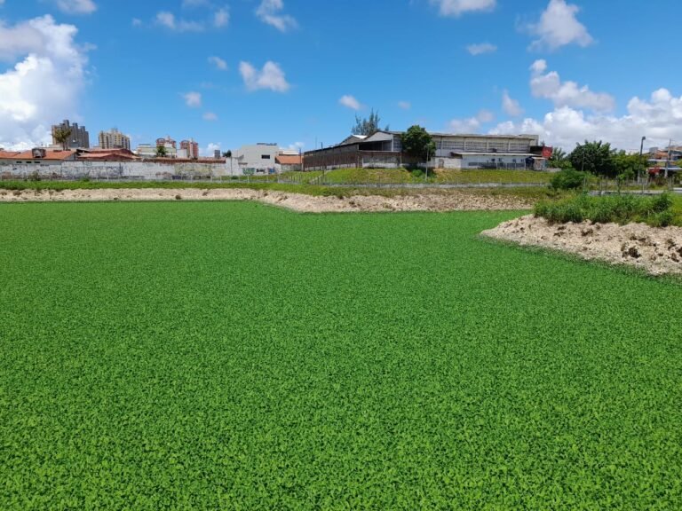 Nível das lagoas de captação de Parnamirim está dentro da normalidade