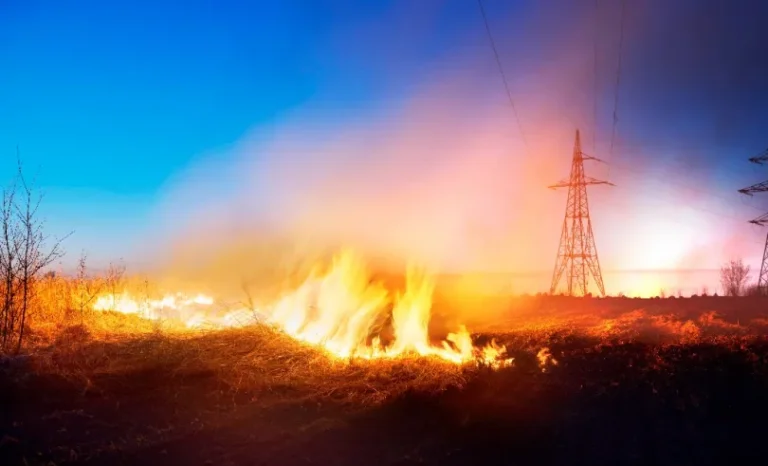 Com nova onda de calor, riscos de queimadas aumentam no Rio Grande do Norte Com nova onda de calor, riscos de queimadas aumentam no Rio Grande do Norte