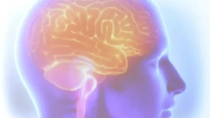 Tania-Rego-Agencia-Brasil-830x468