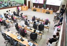 ProMulher e bancada feminina promovem solenidade de encerramento do Outubro Rosa