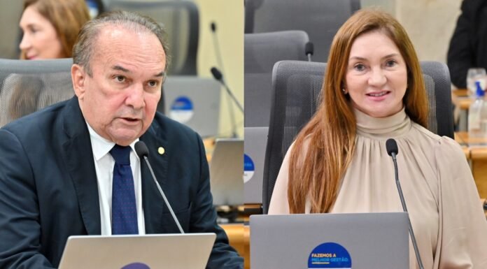 Terezinha Maia e Nelter cobram eficiência do Governo do Estado