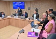 CCJ aprova mais um projeto para proteção e cuidado das pessoas com TEA