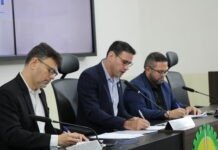 Comissão de Constituição e Legislação analisa projetos de lei em 8ª reunião