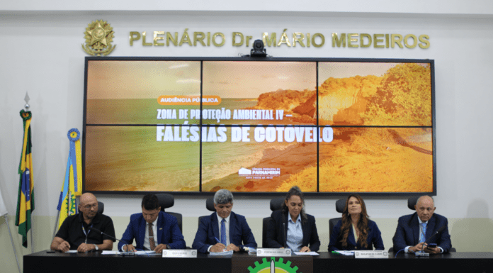 Audiência pública discute ocupação do solo nas Falésias de Cotovelo